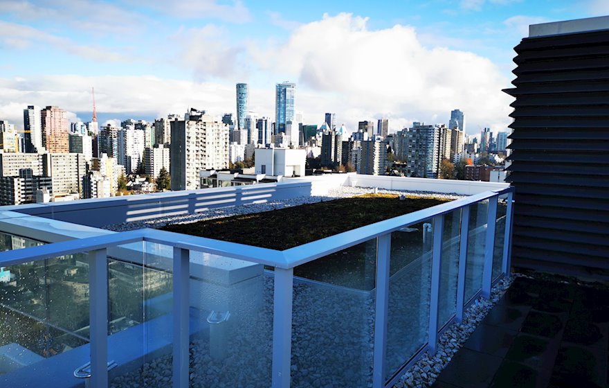 Rooftop Terrace Dog Area